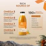 Sea Buckthorn Pulp - Image 2