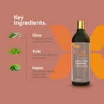 Giloy Tulsi Neem Ras - Image 4